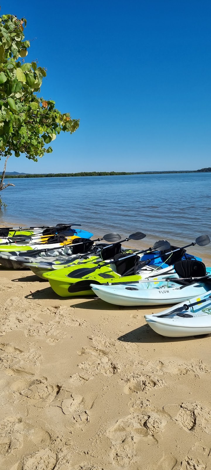 Running Wild Outdoors | 172 High St, Russell Island QLD 4184, Australia | Phone: 0473 435 086