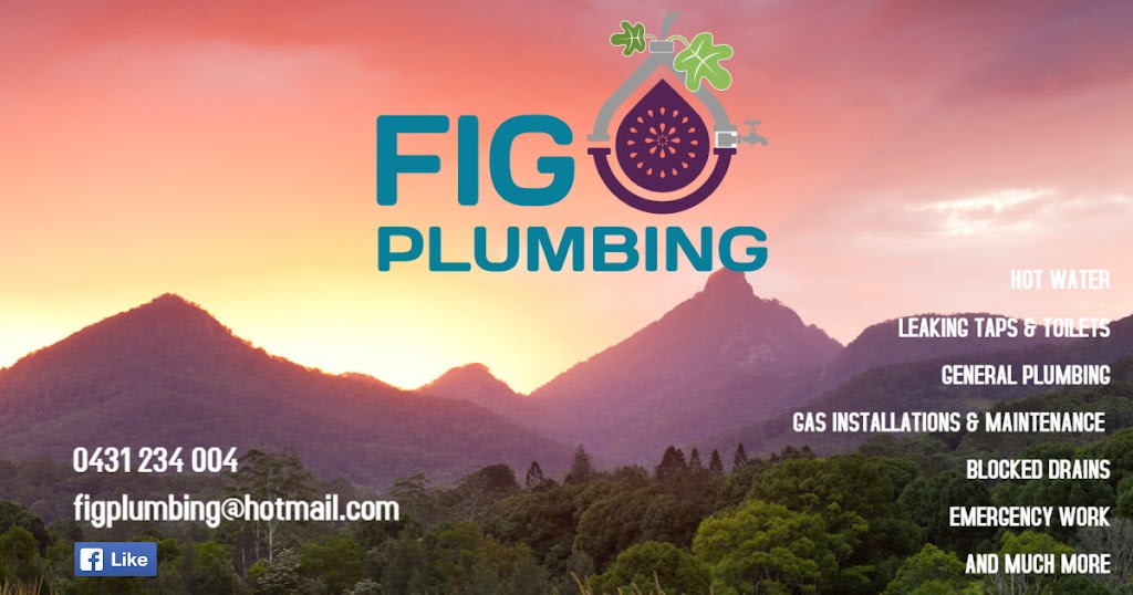 Fig Plumbing and Gas | Peninsula Dr, Bilambil Heights NSW 2486, Australia | Phone: 0431 234 004