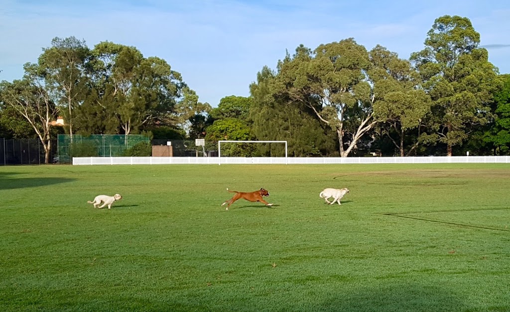 Kingsford Smith Oval | Kenneth St & Stuart St, Longueville NSW 2066, Australia | Phone: (02) 9911 3555