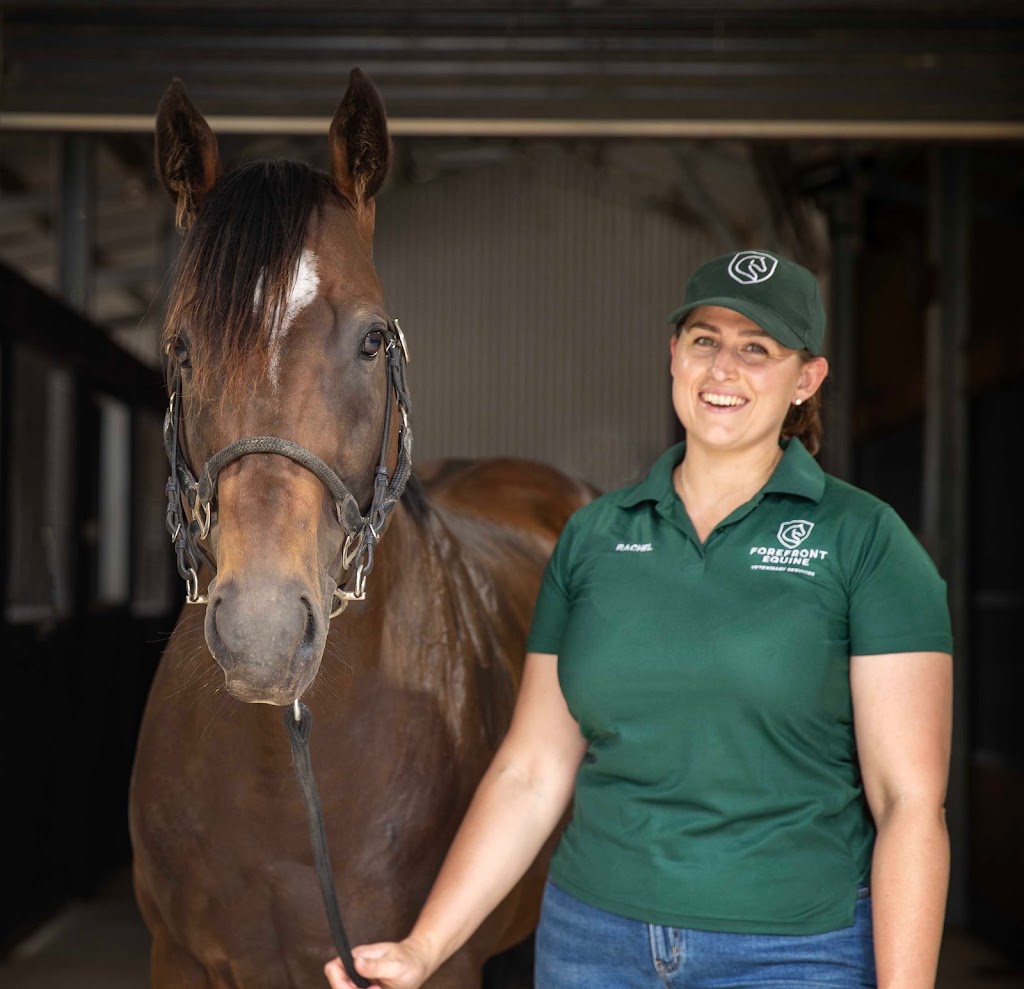 Forefront Equine Veterinary Services | 160 Gascards Ln, Gordon VIC 3345, Australia | Phone: 0452 474 242