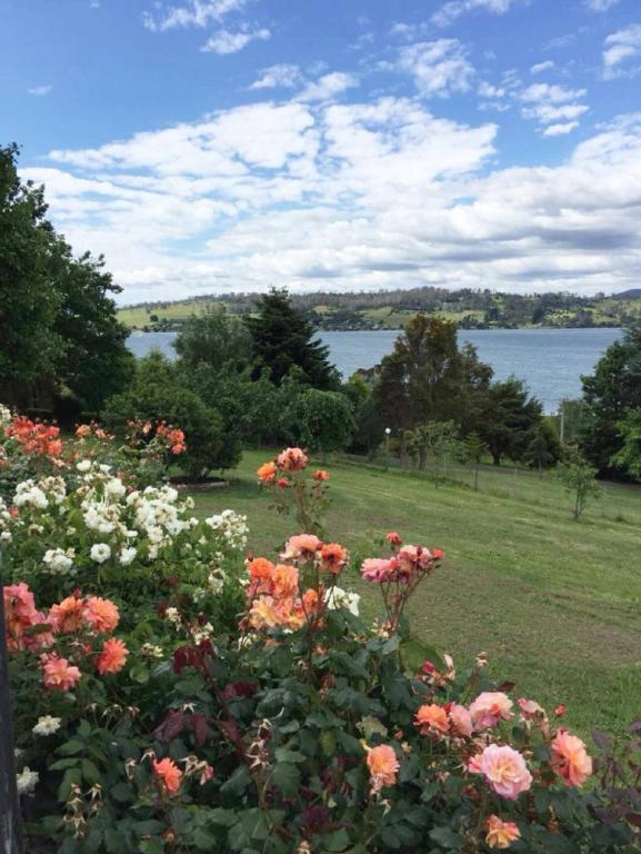 Launceston 3BR Waterview Signature Home Rosevears | lodging | 119 Rosevears Dr, Rosevears TAS 7277, Australia | 0430933674 OR +61 430 933 674
