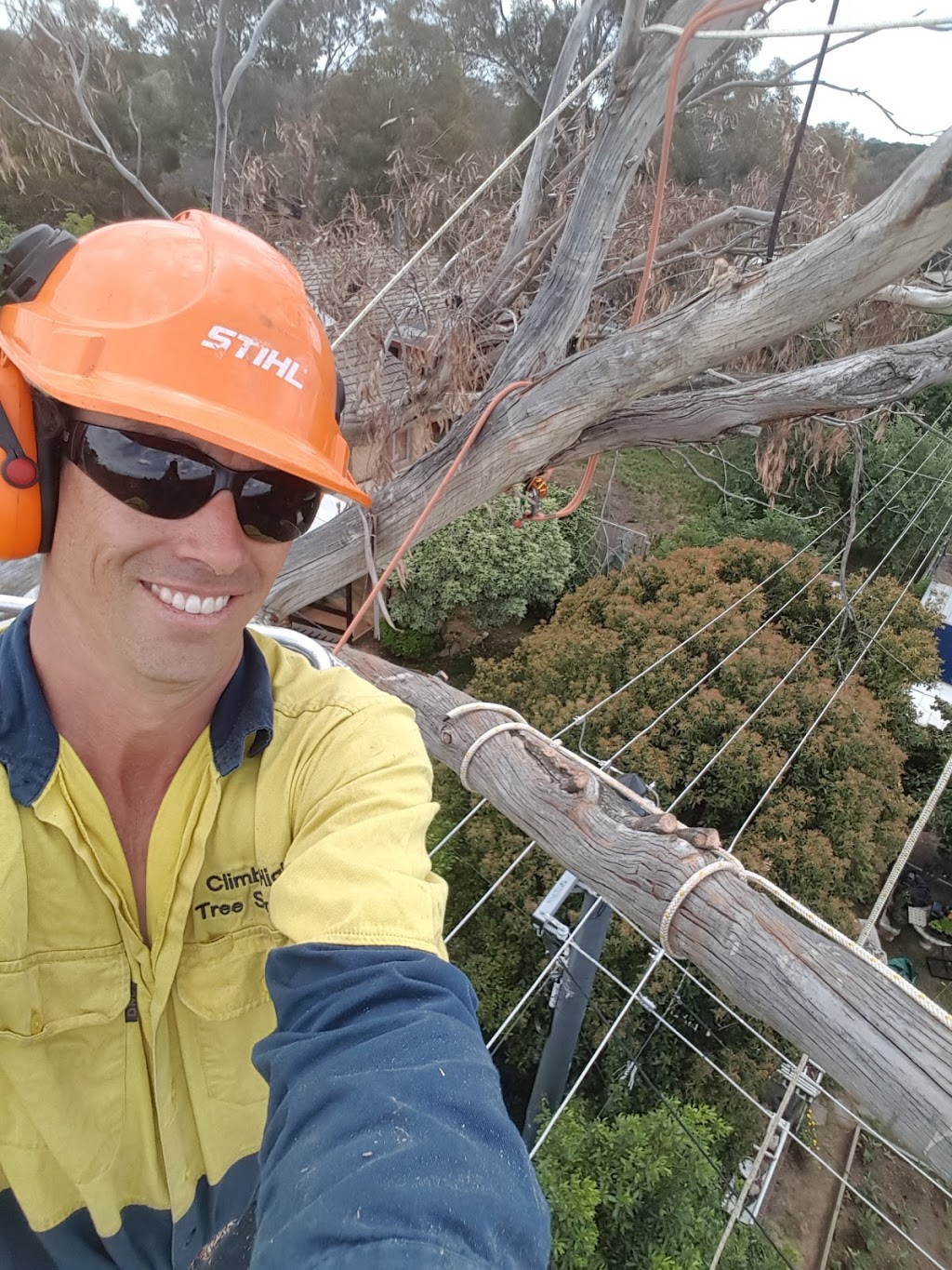 Climb High Tree Services | 880 Federal Hwy, Watson ACT 2602, Australia | Phone: 0402 089 736