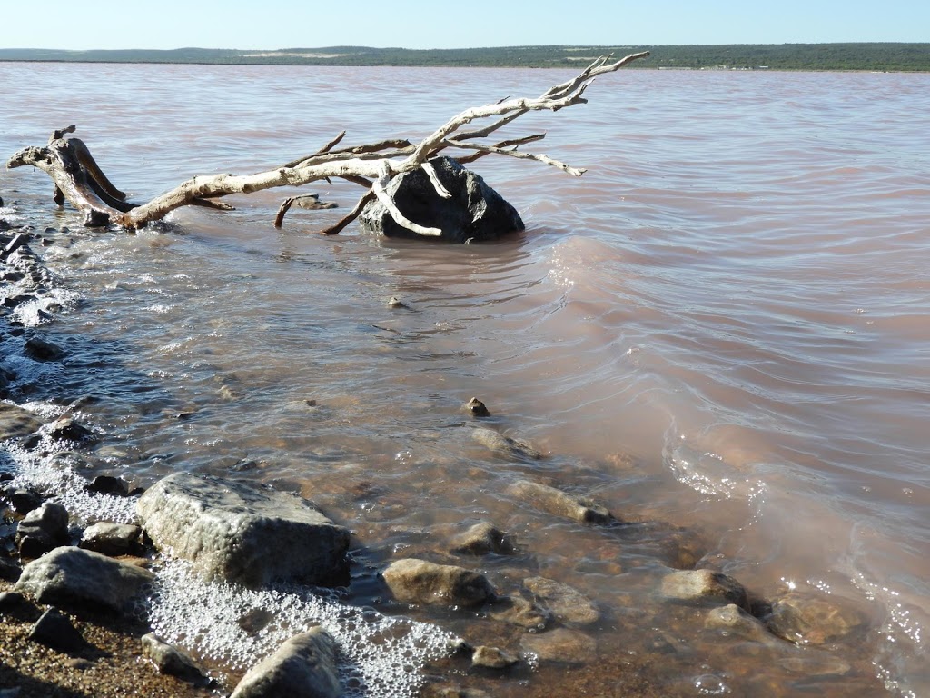 Pink Lake | Port Gregory Rd, Gregory WA 6535, Australia