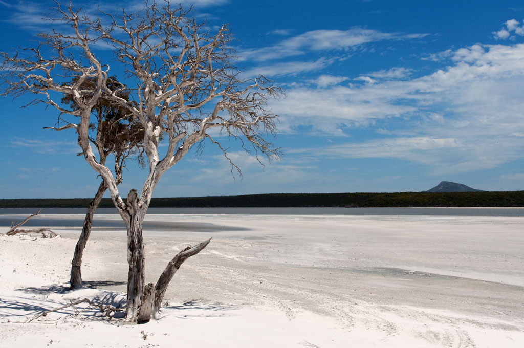 Bremer Bay Bed & Breakfast | lodging | 171 Point Henry Rd, Bremer Bay WA 6338, Australia | 0421037344 OR +61 421 037 344