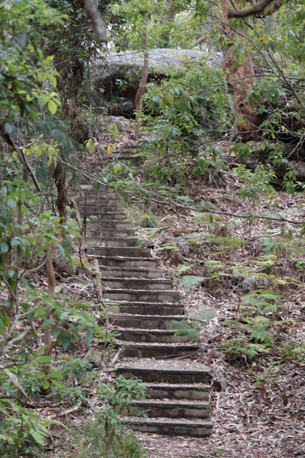 Bouddi Spur Walking Track | park | Mount Bouddi Rd, Macmasters Beach NSW 2251, Australia