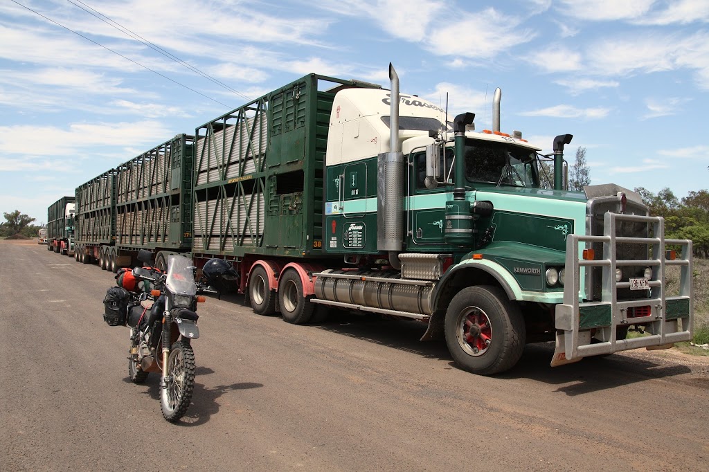 Frasers Livestock Transport | 332 Warwick Killarney Rd, Morgan Park QLD 4370, Australia | Phone: (07) 4661 2922