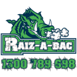 Raiz-a-bac | car repair | 158 McEvoy St, Warwick QLD 4370, Australia | 0746671799 OR +61 7 4667 1799