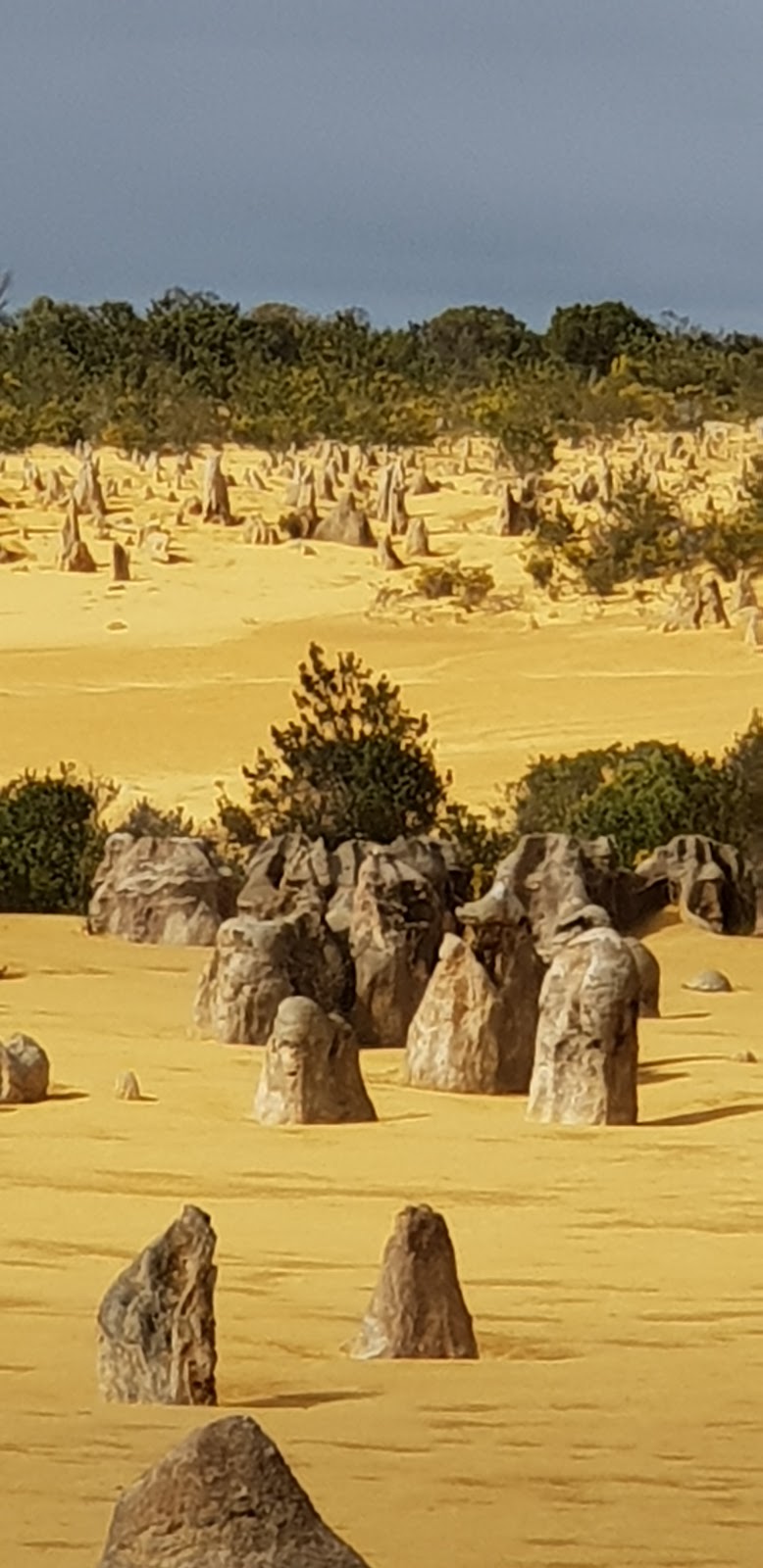 Nambung National Park | Nambung WA 6521, Australia | Phone: (08) 9652 7913