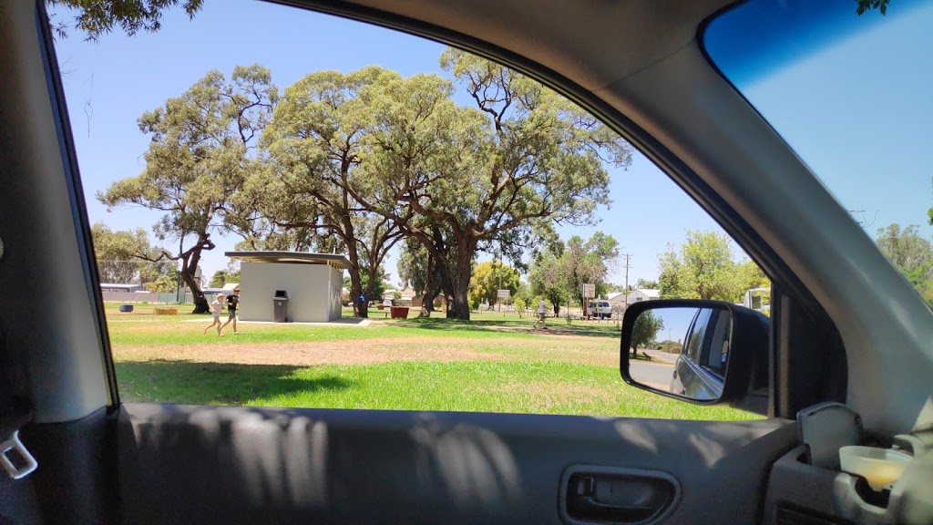 Balranald Lions Park | 182 Market St, Balranald NSW 2715, Australia | Phone: (03) 5020 1300