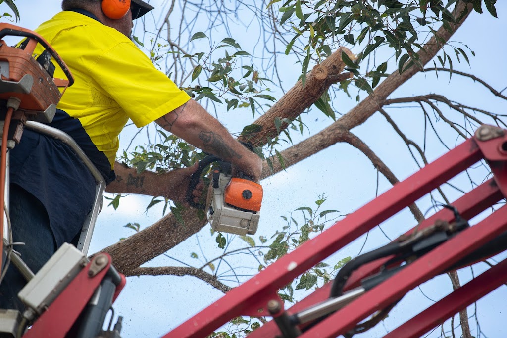 Payne’s Trees and Fencing Services | 137 Gooseberry Hill Rd, Gooseberry Hill WA 6076, Australia | Phone: 0455 132 014