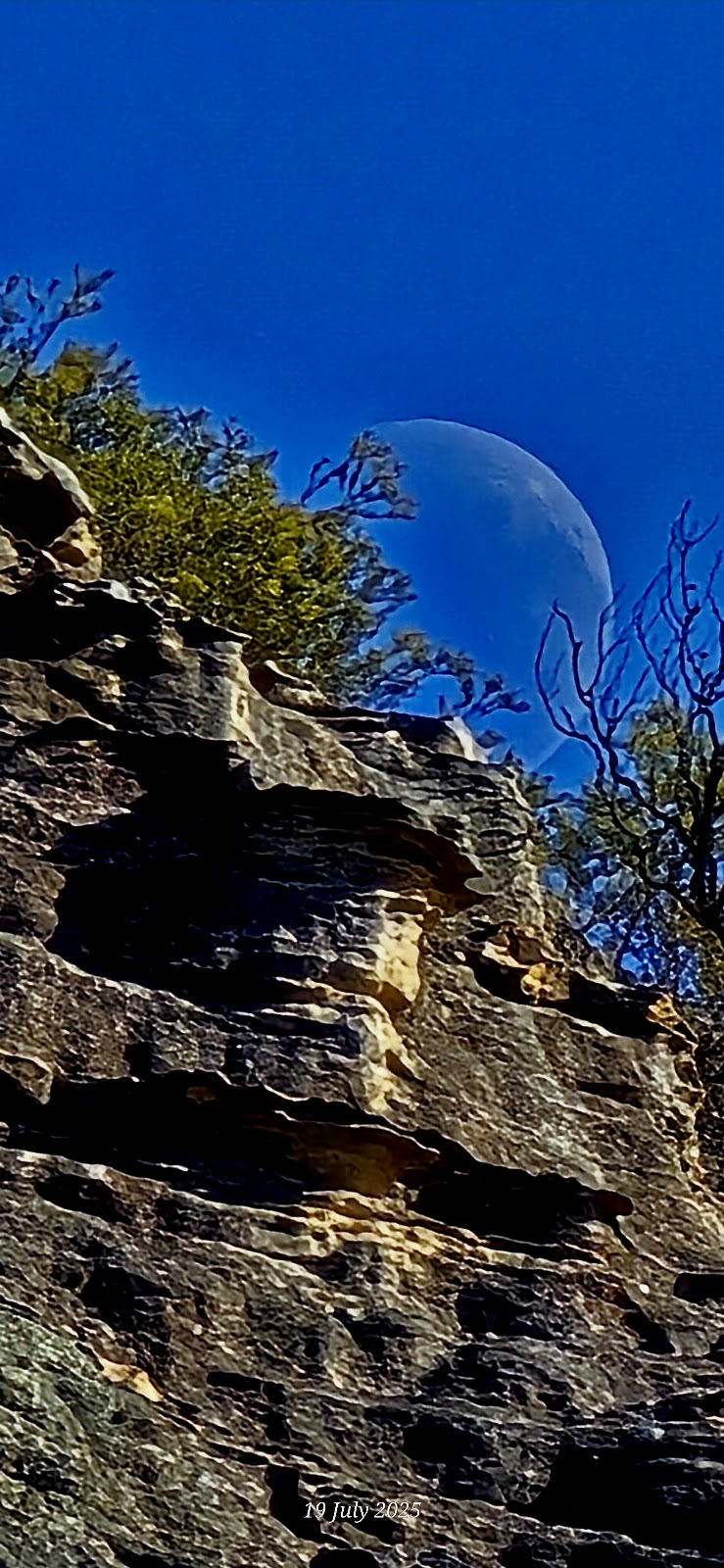 Lost City Walking Track | Lost City Walking Track, Marrangaroo NSW 2790, Australia | Phone: 1300 072 757