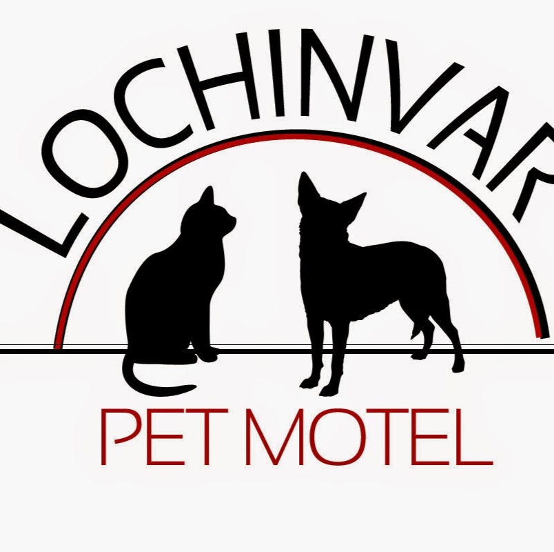 Lochinvar Pet Motel | 206 Old North Road. Lochinvar 2321, Australia | Phone: 0249309094 or 0249307612
