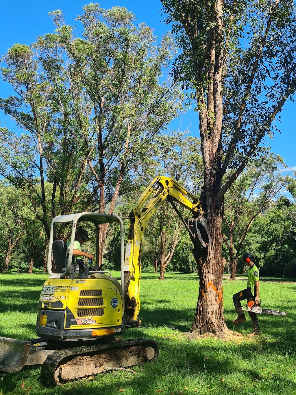 Jeff Pearce Tree Services | 24 Caleyi Cres, Tuncurry NSW 2428, Australia | Phone: 0415 312 104