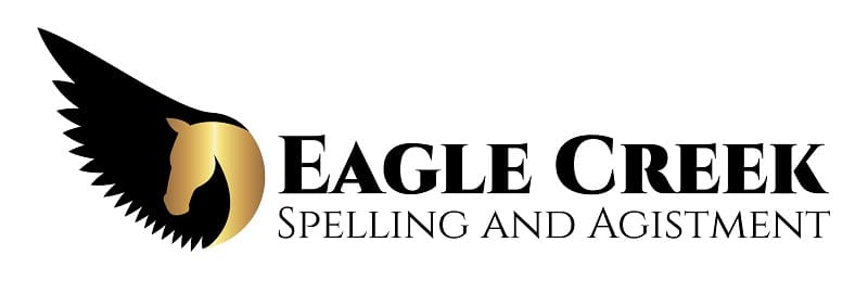 Eagle Creek - Spelling and Agistment |  | 260 Bobs Range Rd, Orangeville NSW 2570, Australia | 0246571736 OR +61 2 4657 1736