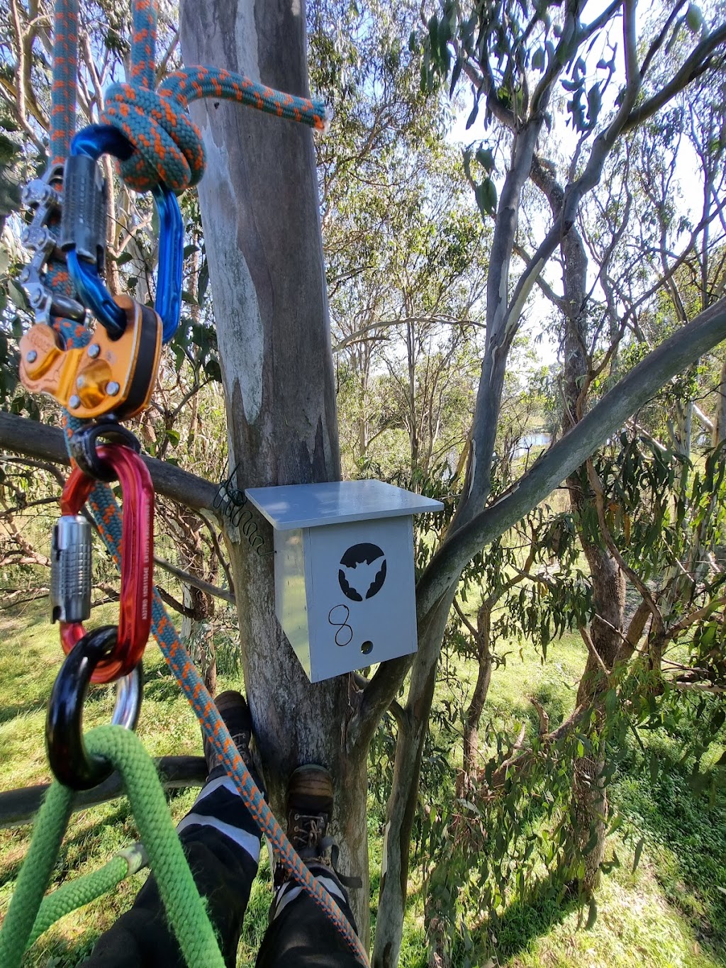 Climate tree services | 39a Chettle Ln, Gundary NSW 2580, Australia | Phone: 0422 592 236