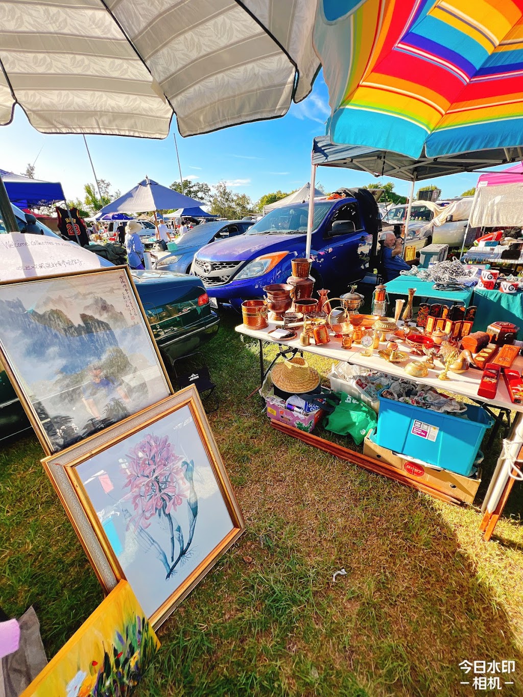 Audia Collection | 1580 Logan Rd, Mount Gravatt QLD 4122, Australia | Phone: 0402 388 103