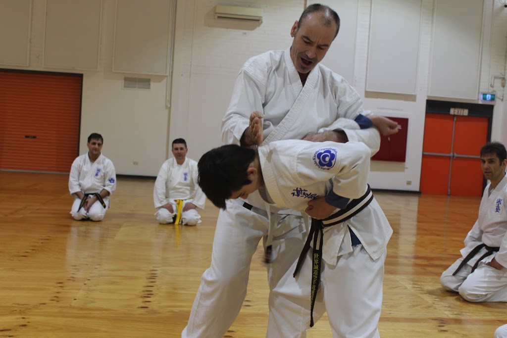 Seido Karate Bundoora | 1436 Plenty Rd, Bundoora VIC 3083, Australia | Phone: 0450 240 220