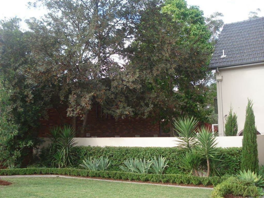 David Wilson Landscapes and Property Services | park | 10 Edwin Rd, Buderim QLD 4556, Australia | 0413823300 OR +61 413 823 300