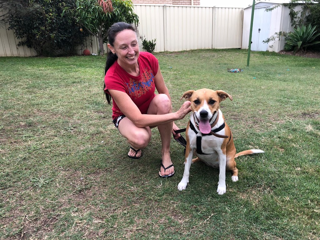 Dogs Love | 3 Delia Ave, Budgewoi NSW 2262, Australia | Phone: 0402 126 029