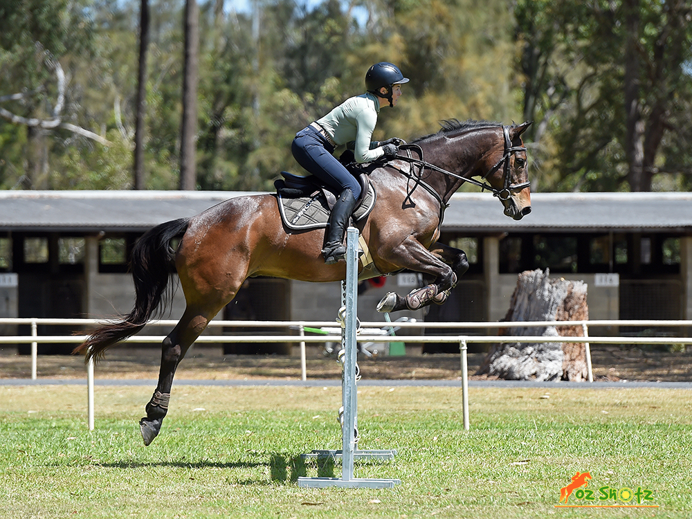 Hiddy and Co | 80 Upper Crystal Creek Rd, Upper Crystal Creek NSW 2484, Australia | Phone: 0412 040 636