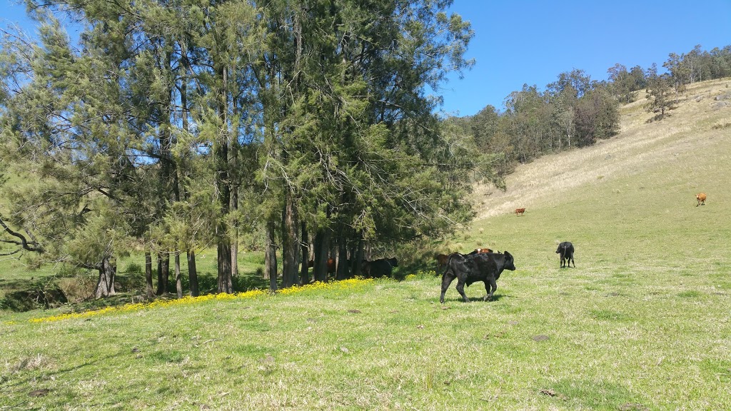 Aysgarth Cottage Gloryvale | 2091 Thunderbolts Way, Rookhurst NSW 2422, Australia | Phone: (02) 6558 7523