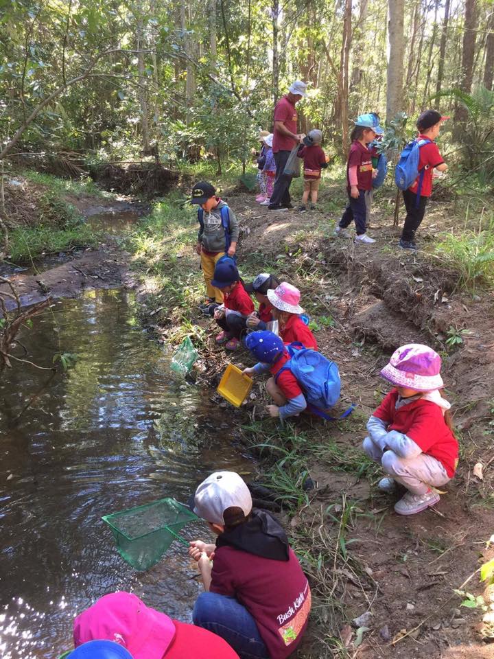 Mudgeeraba Education and Care Centre | school | 17 Cobai Dr, Mudgeeraba QLD 4213, Australia | 0755305563 OR +61 7 5530 5563