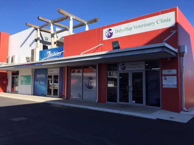 Dalyellup Veterinary Clinic | 1/49 Norton Promenade, Dalyellup WA 6230, Australia | Phone: (08) 9795 1284