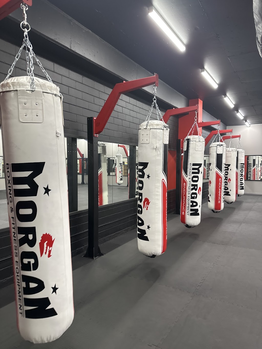Boxfitness | 17 Stanton Rd, Seven Hills NSW 2147, Australia | Phone: 0468 996 505
