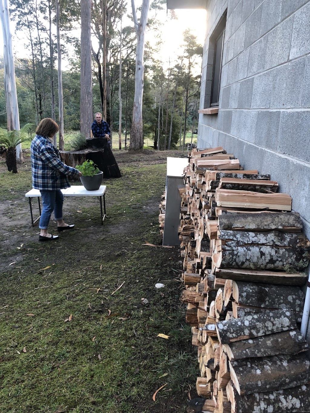 Forest and Fish | 27193 Tasman Hwy, Goulds Country TAS 7216, Australia | Phone: 0478 011 280