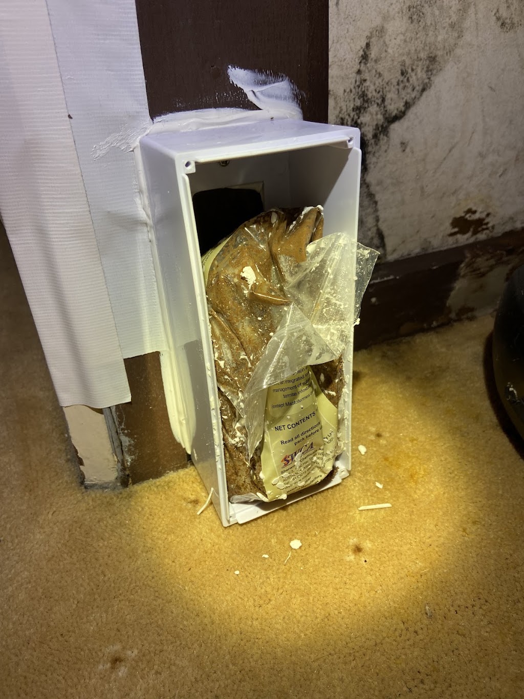 Amazon Pest Exterminators | 55 Manning Blvd, Darley VIC 3340, Australia | Phone: (03) 9436 0883