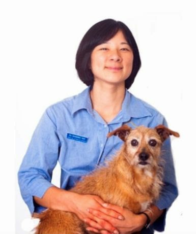 Dr Bronwen Harper | veterinary care | 357 Canterbury Rd, Forest Hill VIC 3131, Australia | 0398731544 OR +61 3 9873 1544