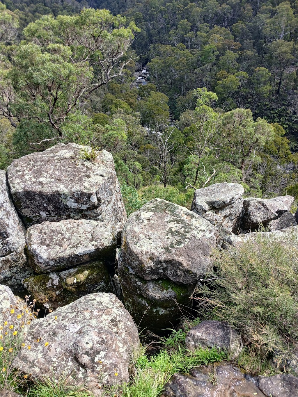 Upper Falls loop walk | Ebor Walking Track, Ebor NSW 2453, Australia | Phone: 1300 072 757