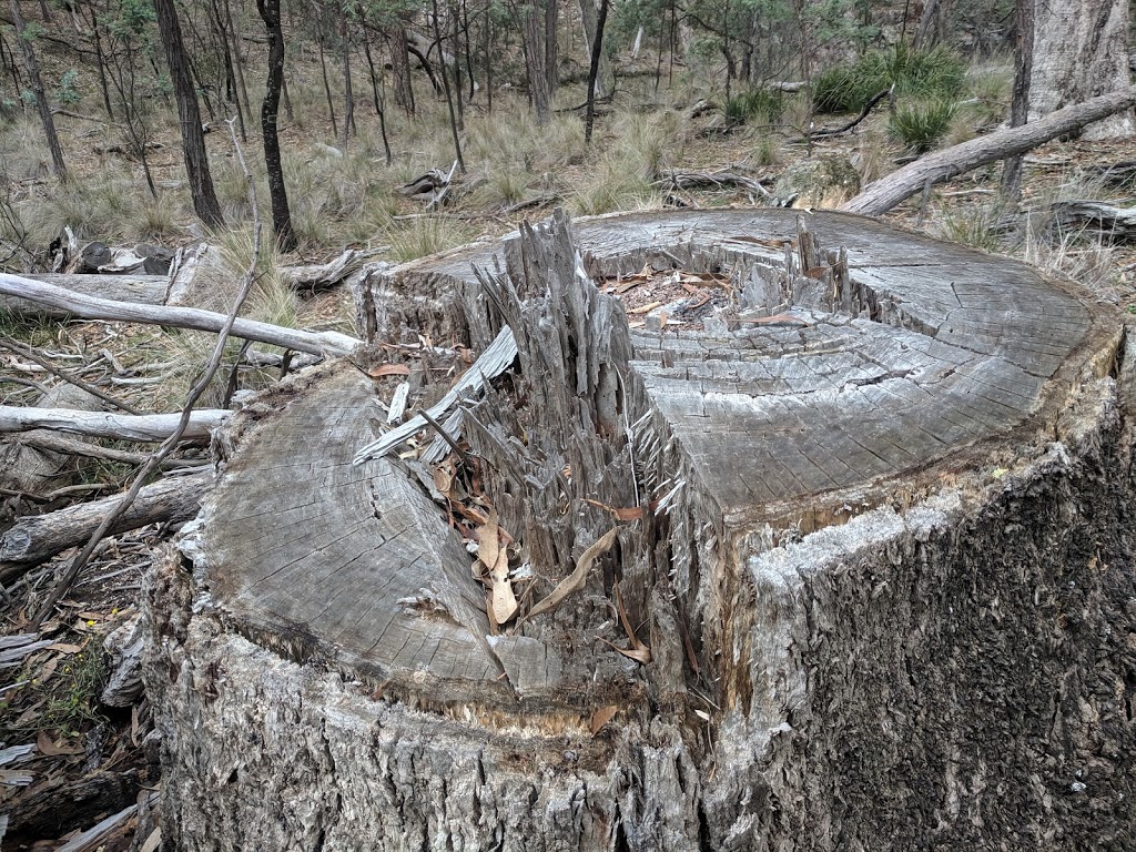 Mullions Range | New South Wales 2800, Australia