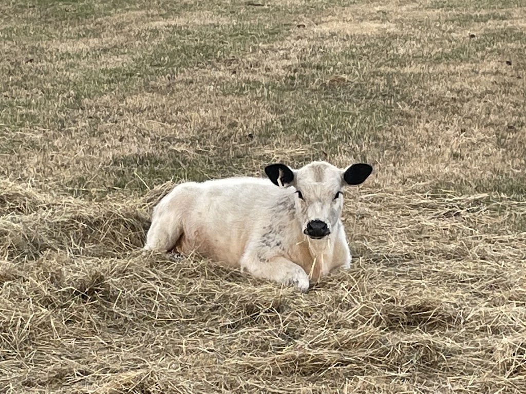 Temple Mount Farm |  | 64 Boundary Rd, Woodend North VIC 3442, Australia | 0418382637 OR +61 418 382 637