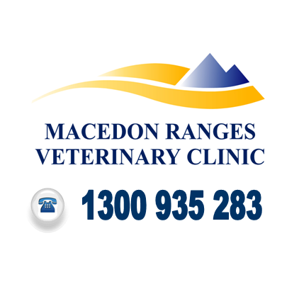 Greencross Vets Macedon Ranges | veterinary care | 5 Brooke St, Woodend VIC 3442, Australia | 0354273737 OR +61 3 5427 3737