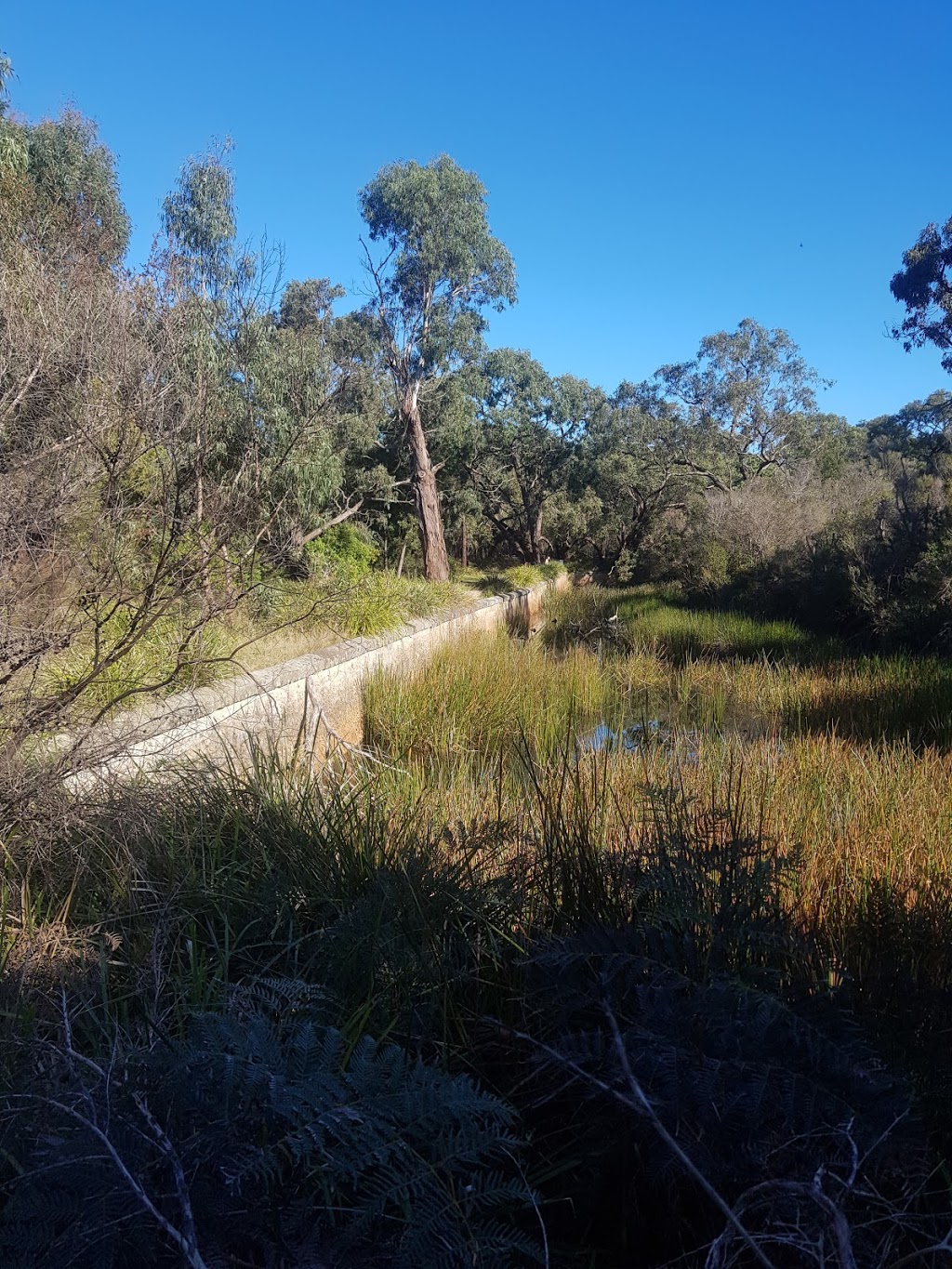 The reservoir | park | Reservoir Track, Langwarrin VIC 3910, Australia