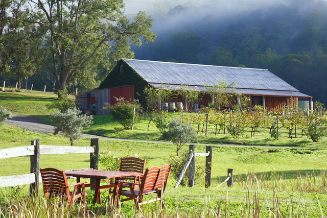 Undercliff Winery & Gallery/Settlers Cottage | 152 Yango Creek Rd, Wollombi NSW 2325, Australia | Phone: (02) 4998 3322