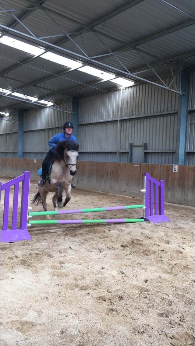 Melbourne Indoor Equestrian Centre | Macs Road, Kinglake West Melbourne VIC 3757, Australia | Phone: 0400 874 118