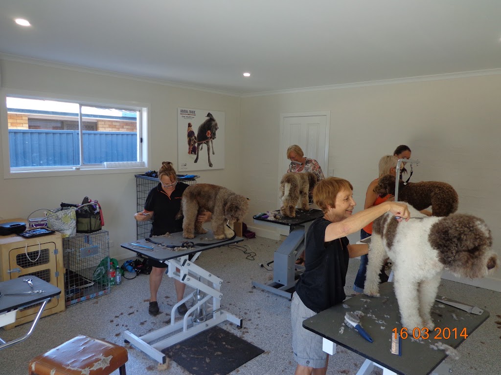 Pet Stylist Academy | 49 Cypress Dr, Broadbeach Waters QLD 4218, Australia | Phone: (07) 5575 2200