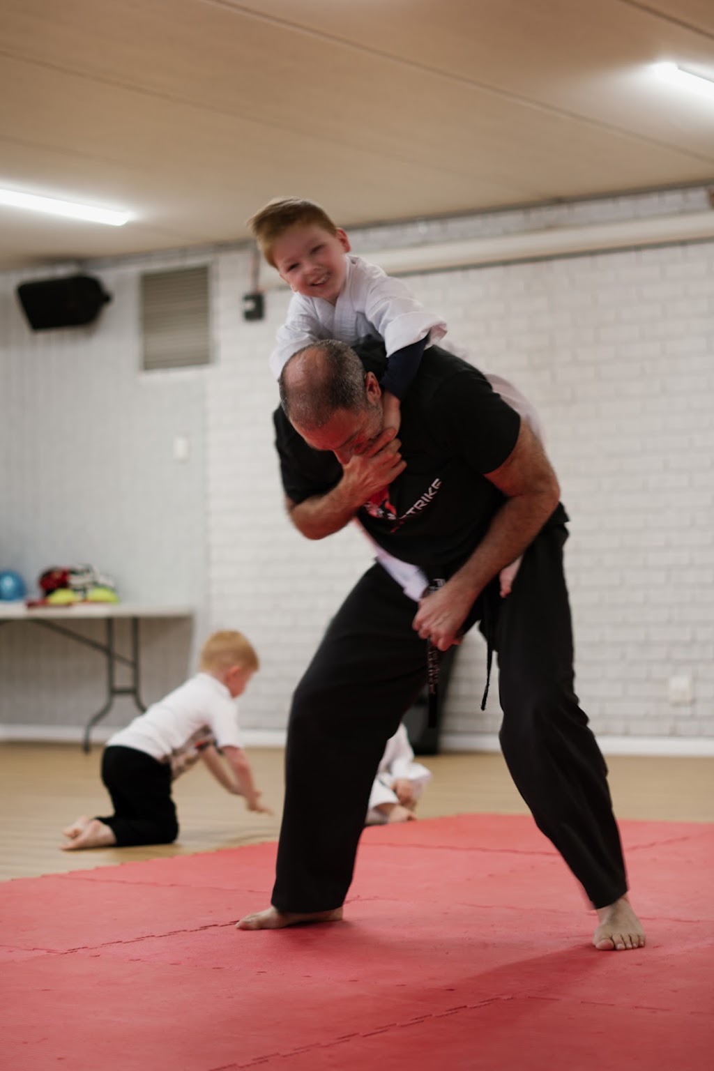 First 2 Strike Freestyle Martial Arts | 25 OBriens Rd, Figtree NSW 2525, Australia | Phone: 0421 806 319