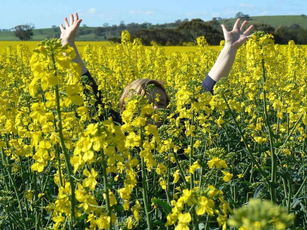 Monta Flora | 931 Salter Springs Rd, Salter Springs SA 5401, Australia | Phone: 0428 286 097