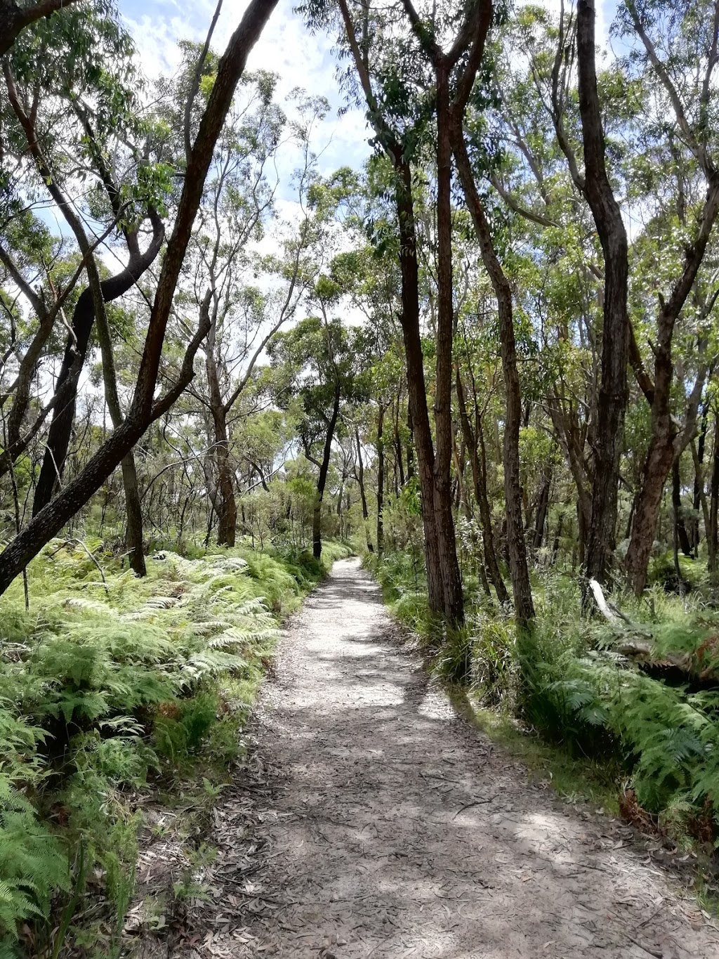 Barren Grounds Nature Reserve | park | Barren Grounds NSW 2577, Australia | 0248877270 OR +61 2 4887 7270