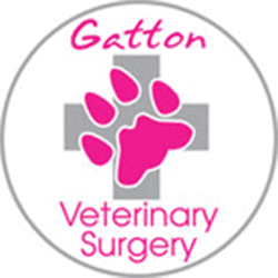 Gatton Veterinary Surgery | 79 Railway St, Gatton QLD 4343, Australia | Phone: (07) 5462 1343