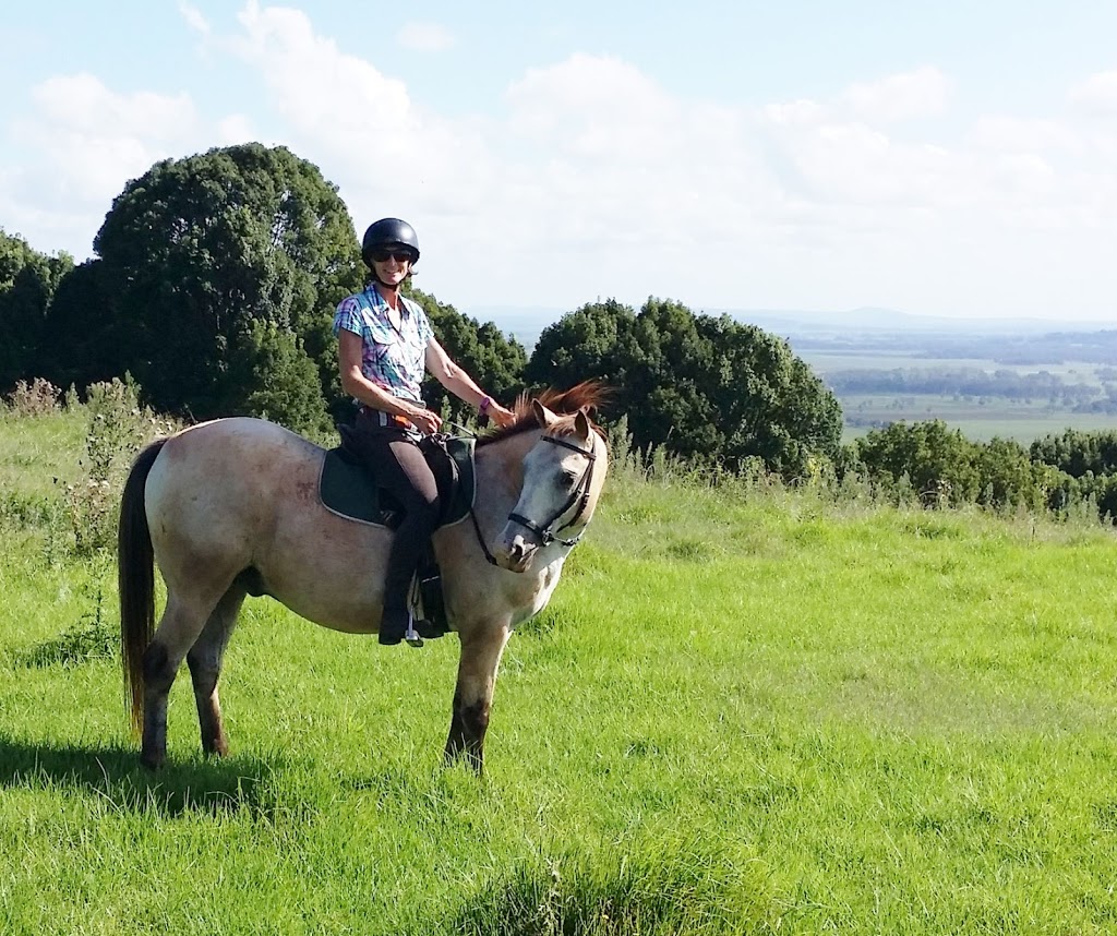 Happy Horses Bitless | 163 Bangalow Rd, Howards Grass NSW 2480, Australia | Phone: 0401 249 263