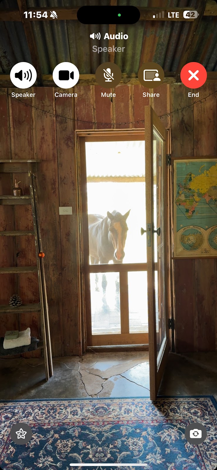 Shearing Shed | 22a Camp Rd, Cowra NSW 2795, Australia | Phone: 0402 205 179