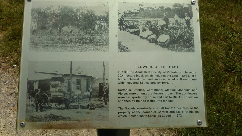 Blackburn Lake - Flowers of the past | park | 93 Central Rd, Blackburn VIC 3130, Australia