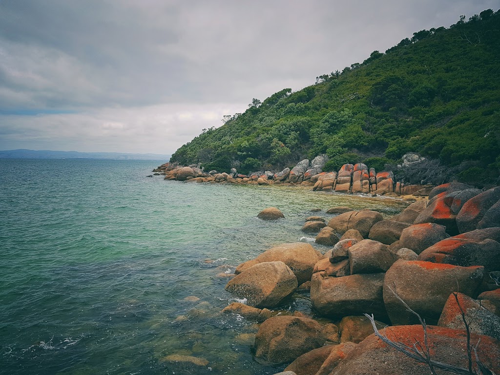 Tin Mine Cove Campground | campground | Wilsons Promontory VIC 3960, Australia | 131963 OR +61 131963