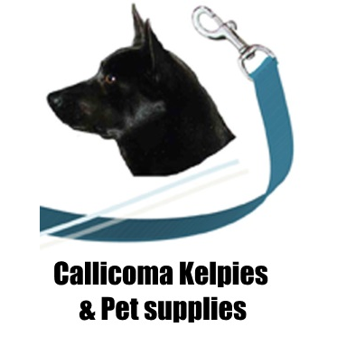 Callicoma Kelpies & Pet Supplies | store | 1898 Summerland Way, Warragai Creek NSW 2460, Australia | 0266447019 OR +61 2 6644 7019