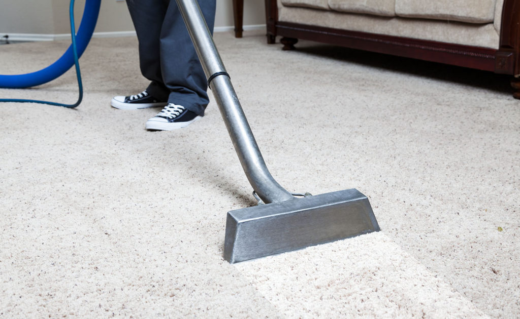 Fresh Carpet Cleaning Medindie | 37 Main N Rd, Medindie SA 5081, Australia | Phone: (08) 6117 4234