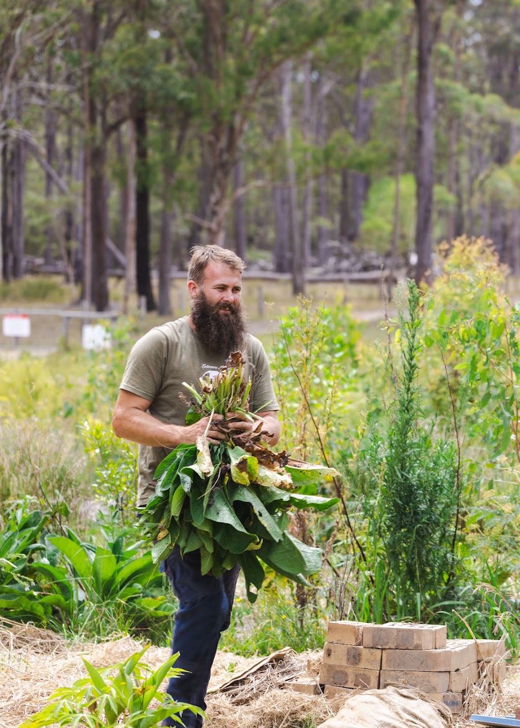Chaffin Creek Farm | 233 Firth Heinz Rd, Pillar Valley NSW 2462, Australia | Phone: 0423 325 281